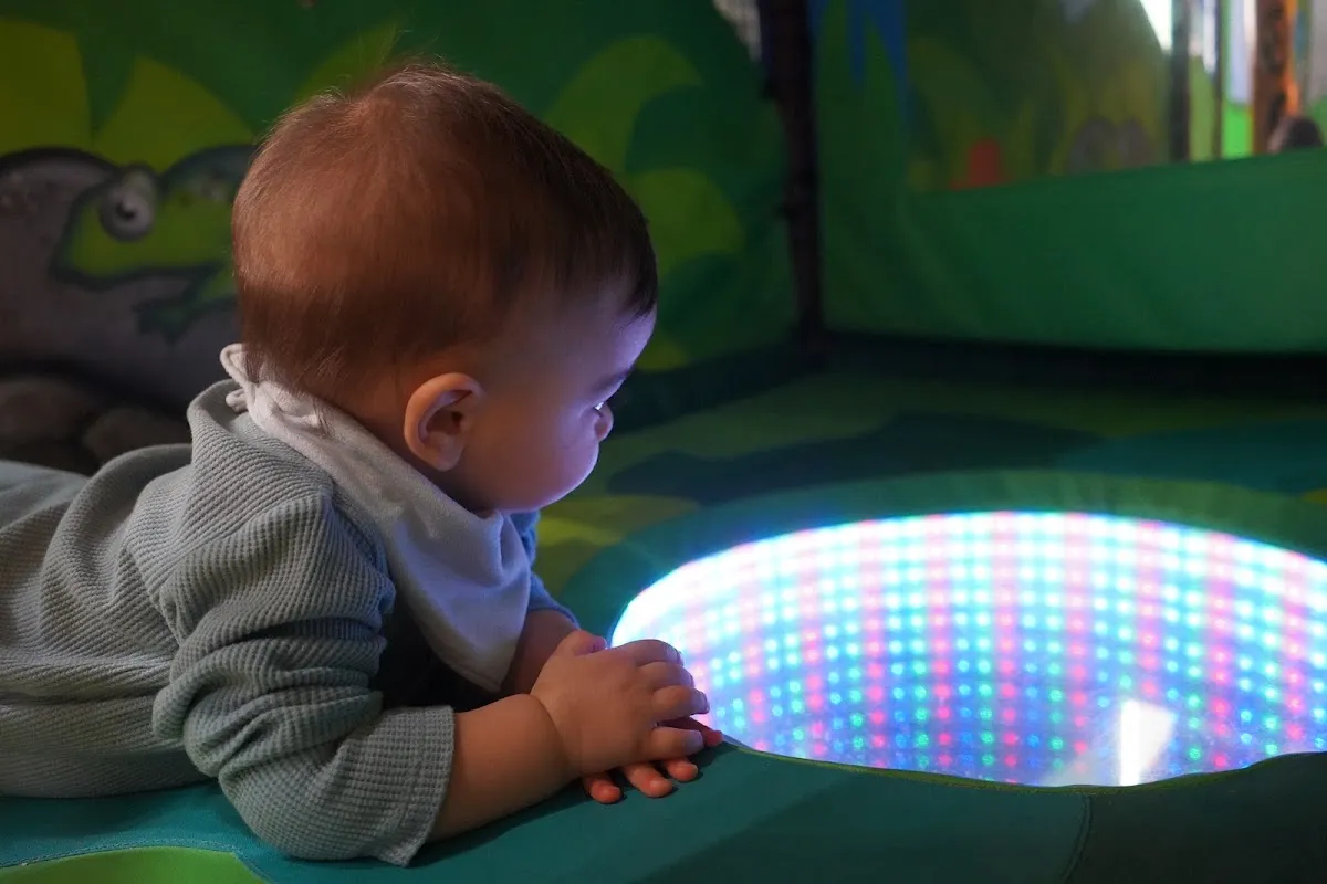 Rainforest Soft Play Club C.I.C